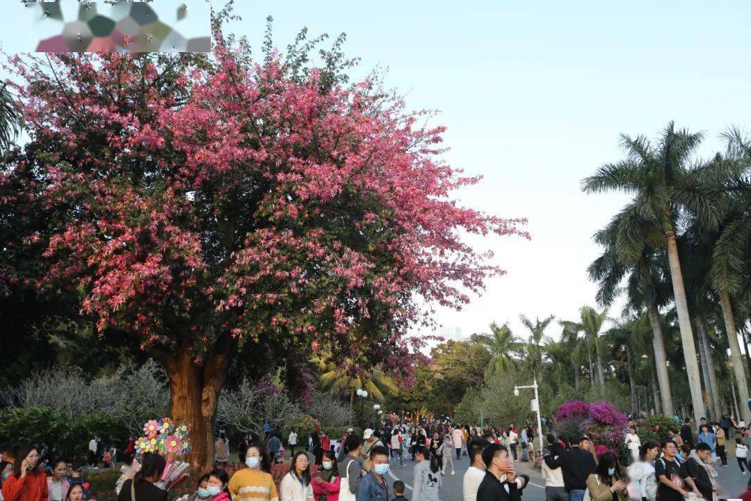 冬至休闲区蓝鸢梦想 - Www.slyday.coM 冬至休闲区蓝鸢梦想 - Www.slyday.coM