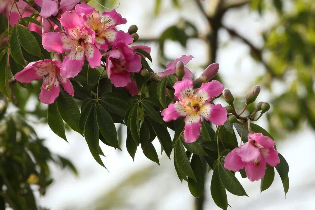 冬至休闲区蓝鸢梦想 - Www.slyday.coM 冬至休闲区蓝鸢梦想 - Www.slyday.coM