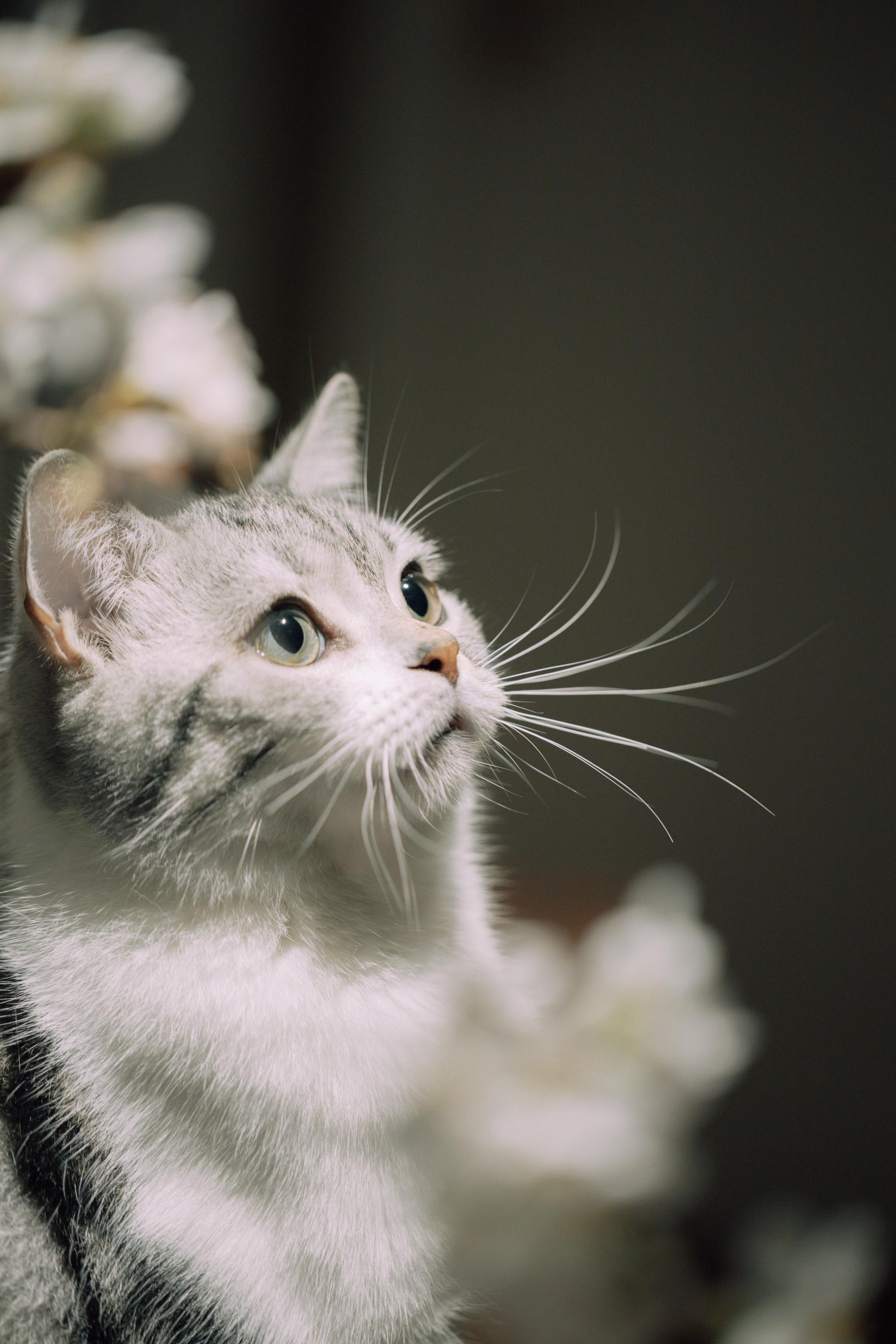 2000_3000竖版 竖屏