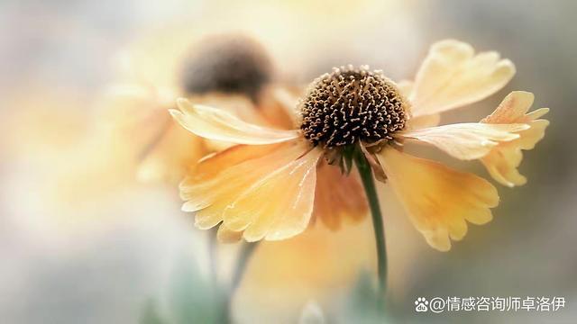 婚姻的真相，如果你明白了，生活就会更幸福休闲区蓝鸢梦想 - Www.slyday.coM