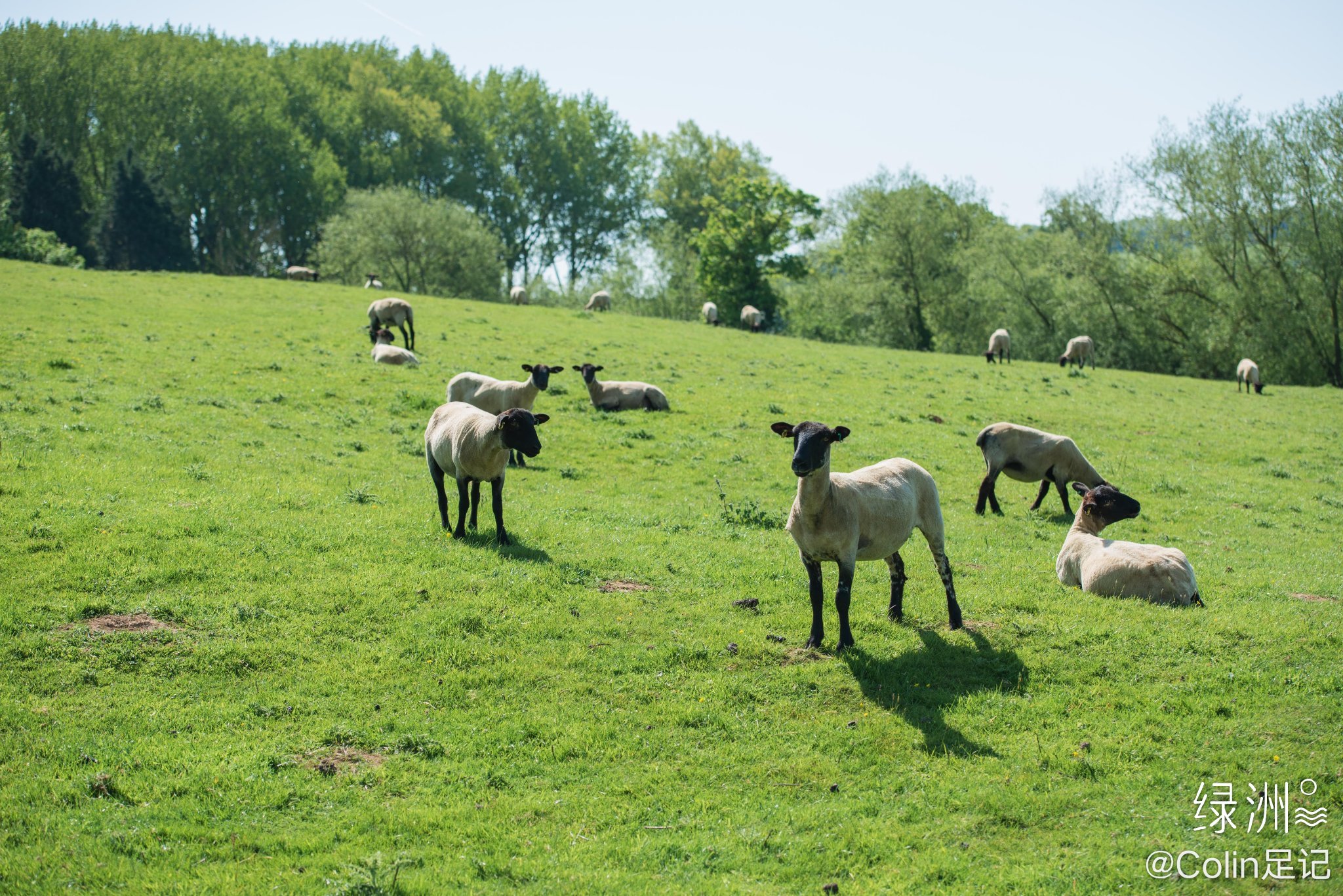 英国乡村 自然的领域 肖恩的领地 英国