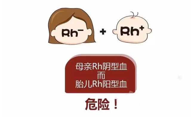 "28岁,处女座,o型血,非诚勿扰"|溶血|新生儿|宝宝_新浪新闻