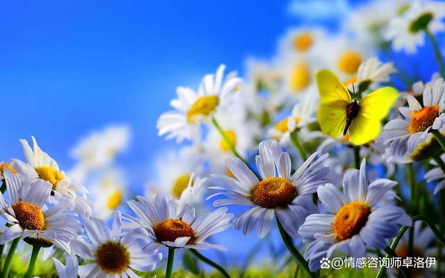 婚姻的真相，如果你明白了，生活就会更幸福休闲区蓝鸢梦想 - Www.slyday.coM