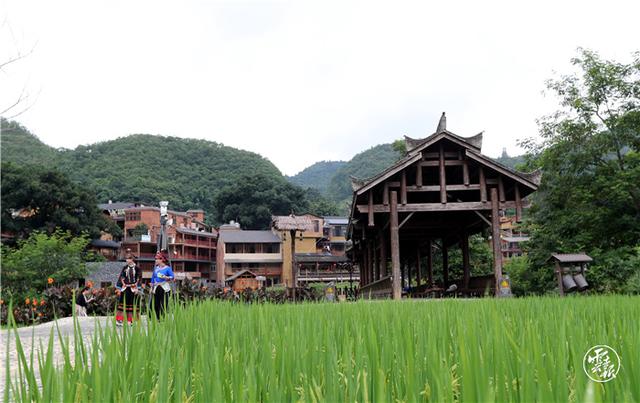 聚焦云南旅游革命三部曲文山州广南县回到桃花源
