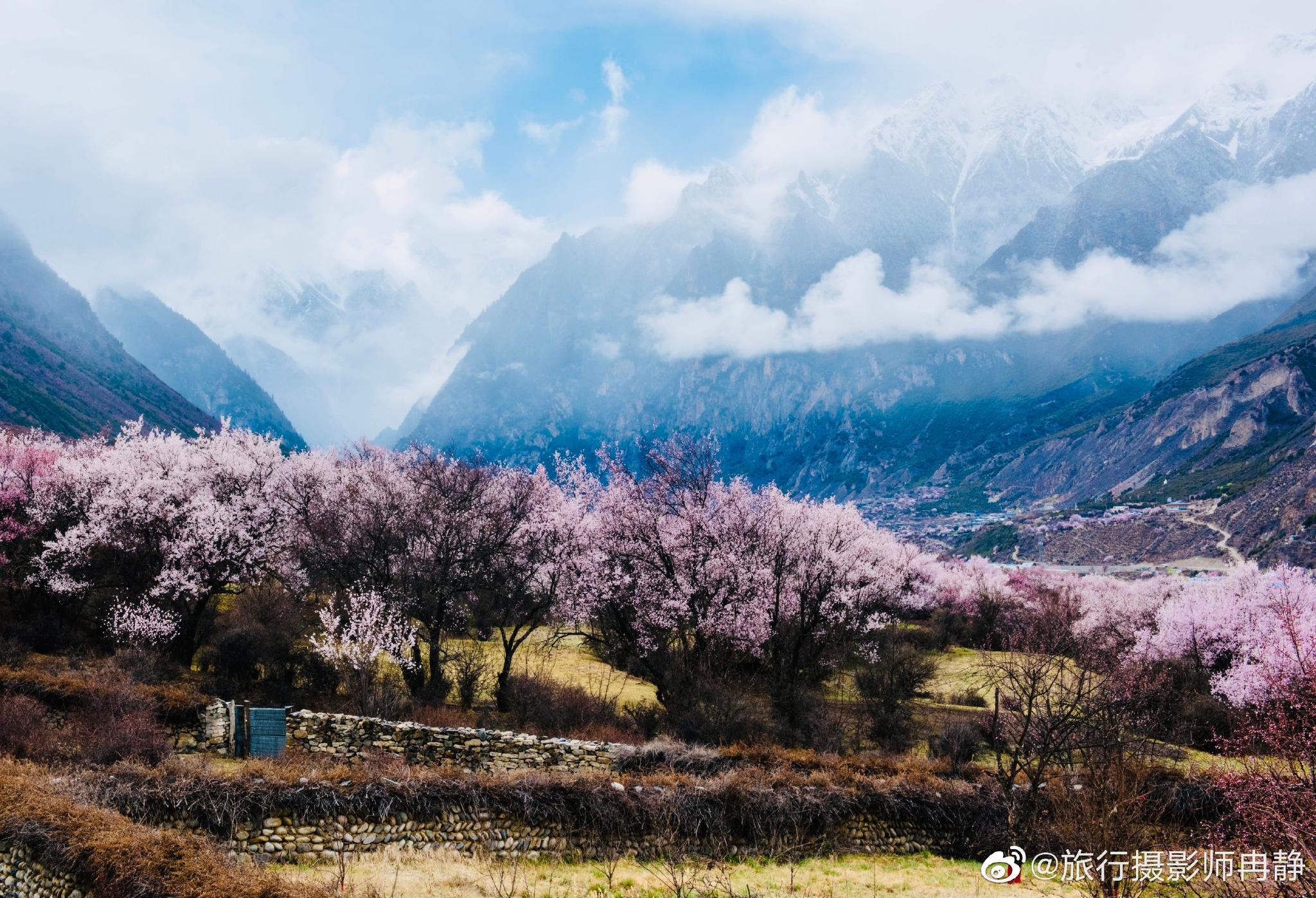 尼屋乡山谷溪流之间屋前村后农田绿油桃花盛开