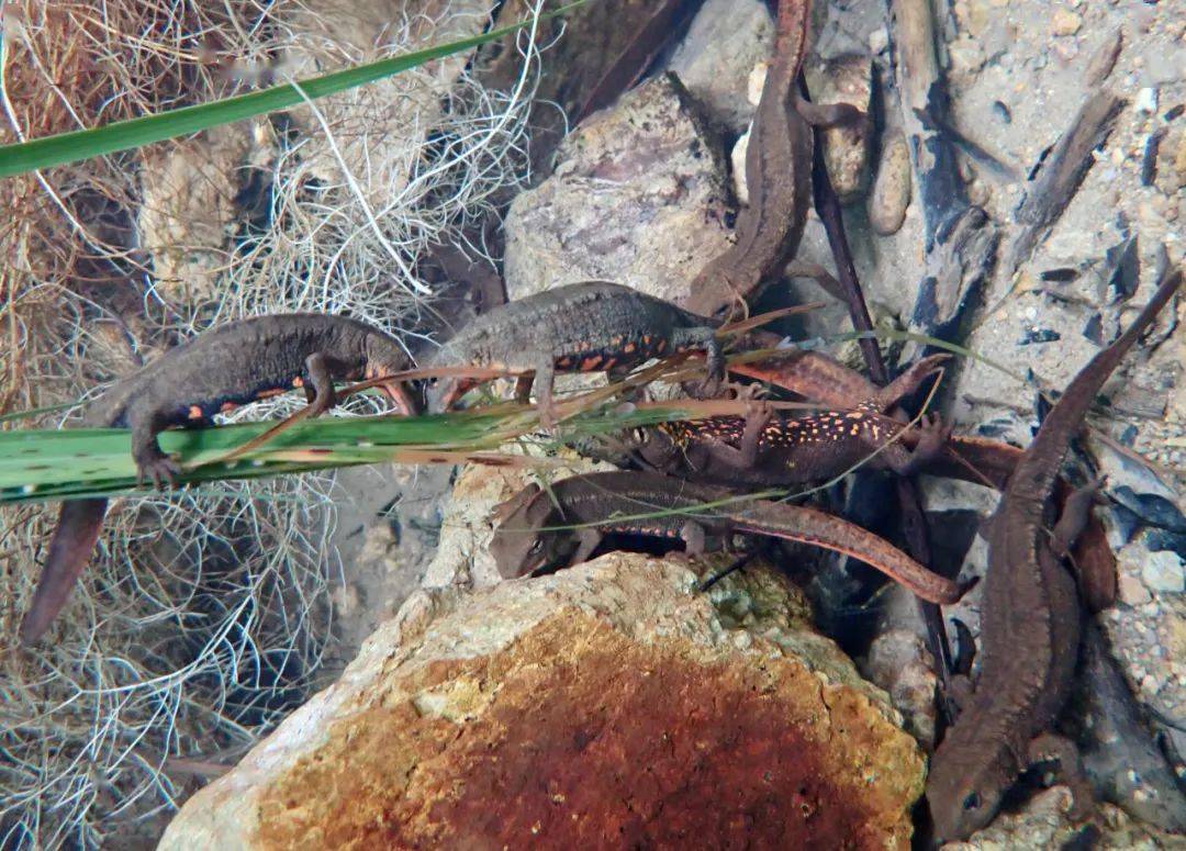 冬至休闲区蓝鸢梦想 - Www.slyday.coM 冬至休闲区蓝鸢梦想 - Www.slyday.coM