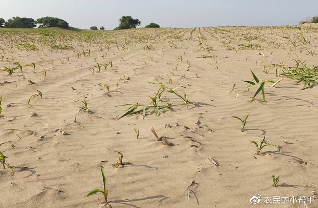 水利部针对云南、四川启动干旱防御Ⅳ级应急响应