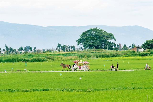 喜洲古镇许你一个绿野仙踪的童话梦境