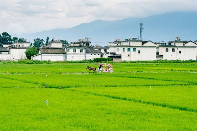 喜洲古镇许你一个绿野仙踪的童话梦境