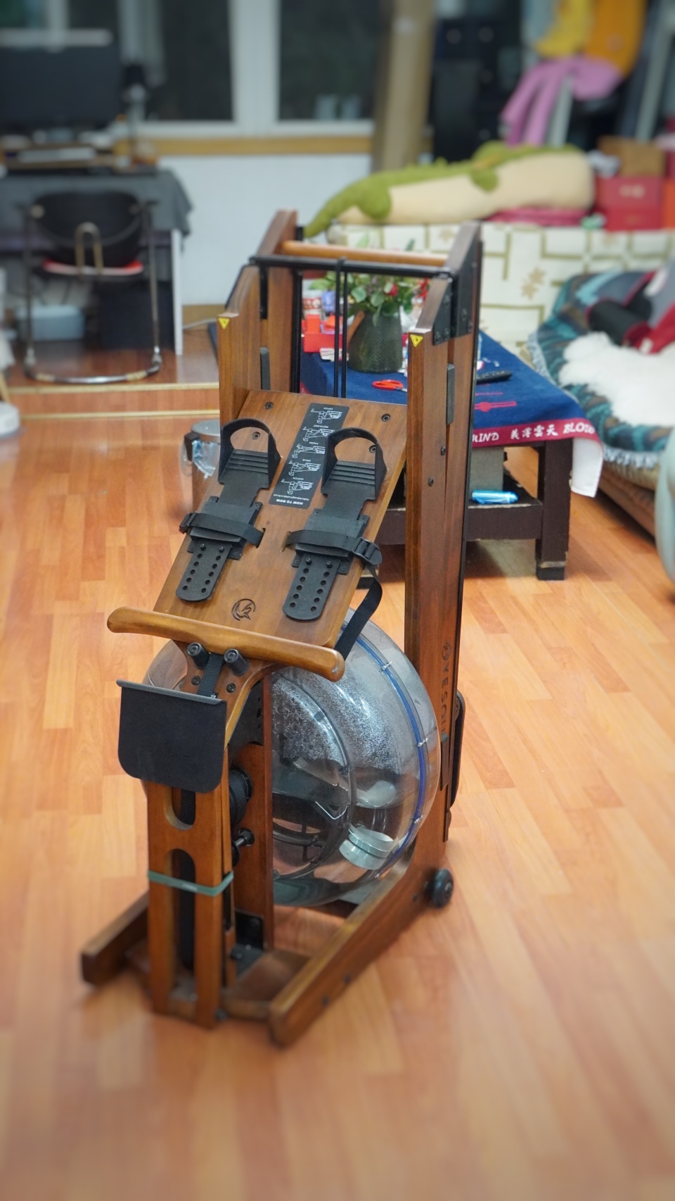 针对容易长肉位置,甩掉拜拜肉,野小兽r30划船机体验测评