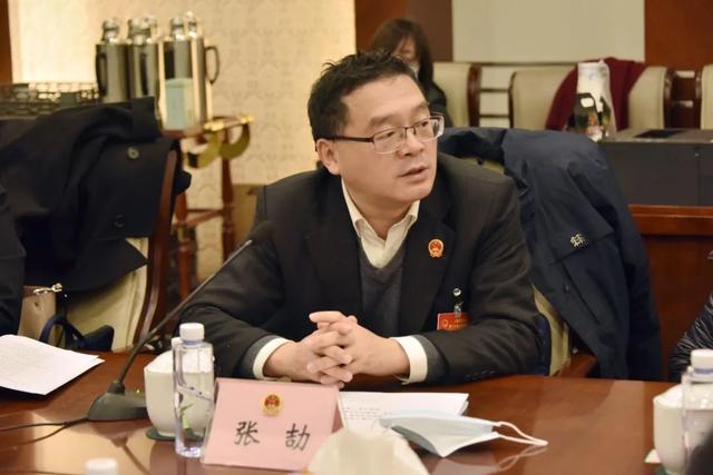 区人大代表审议区人大常委会和两院工作报告