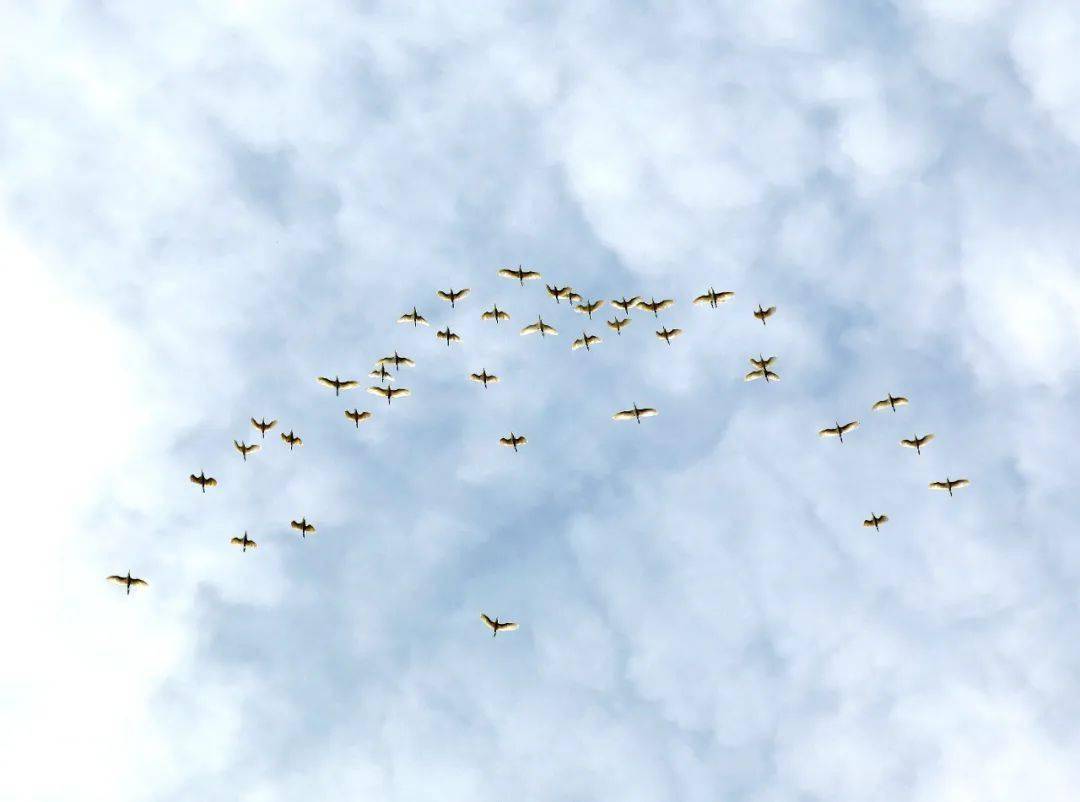 冬至休闲区蓝鸢梦想 - Www.slyday.coM 冬至休闲区蓝鸢梦想 - Www.slyday.coM