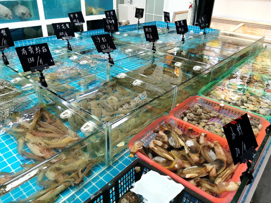 在厦门这家海鲜大排档里,占据半张桌子的鲜活帝王蟹,这回吃爽了