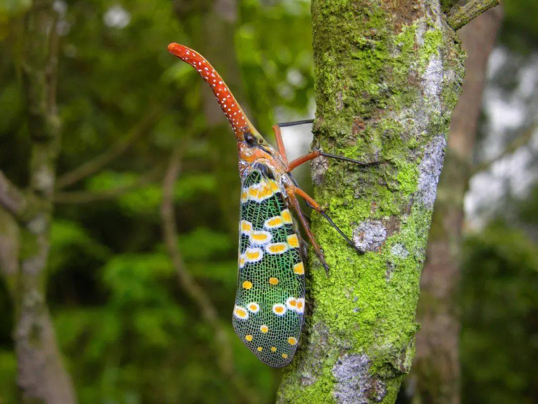 冬至休闲区蓝鸢梦想 - Www.slyday.coM 冬至休闲区蓝鸢梦想 - Www.slyday.coM