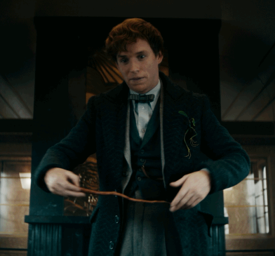 又见嗅嗅护树罗锅皮克特