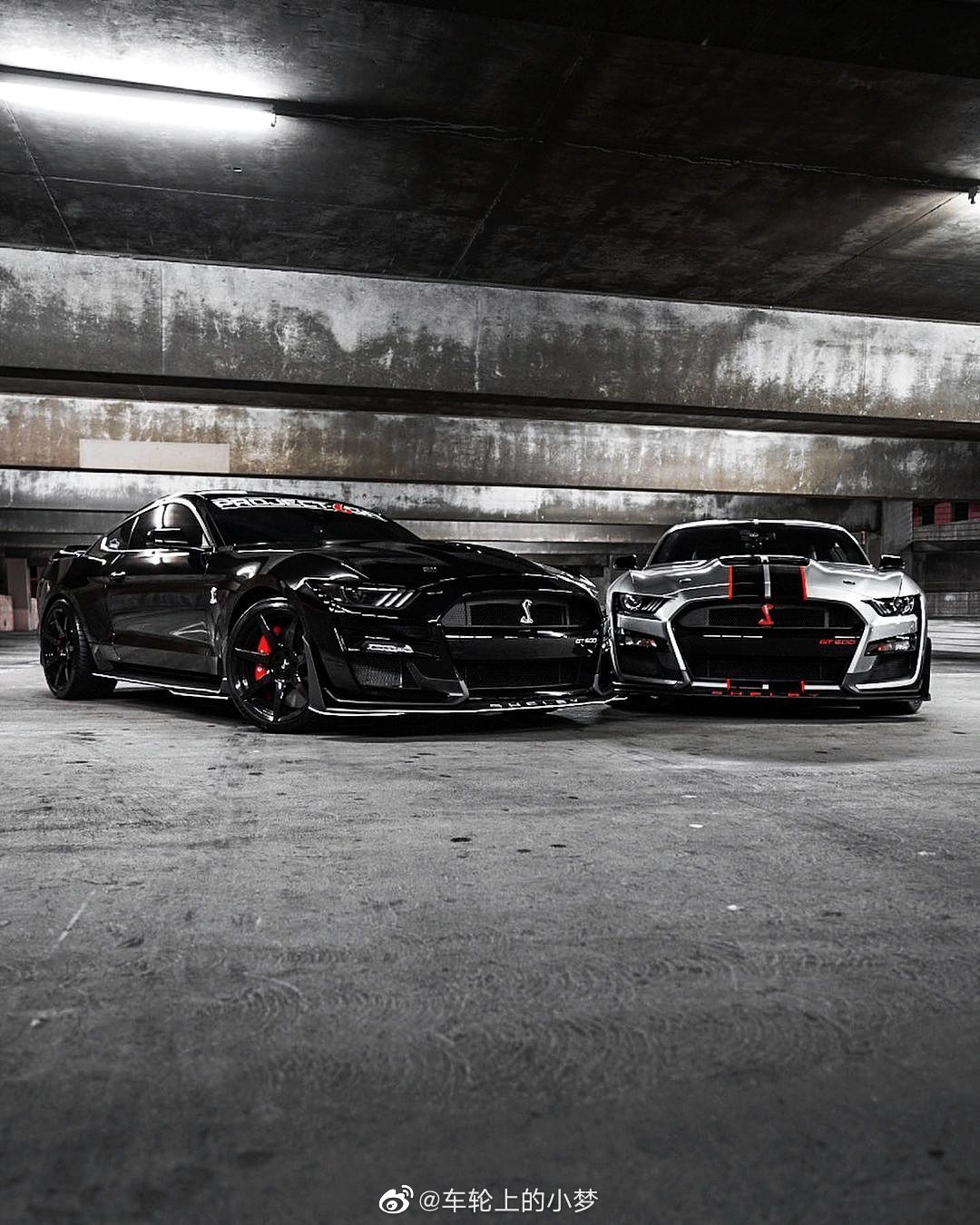 野马谢尔比 gt500__财经头条