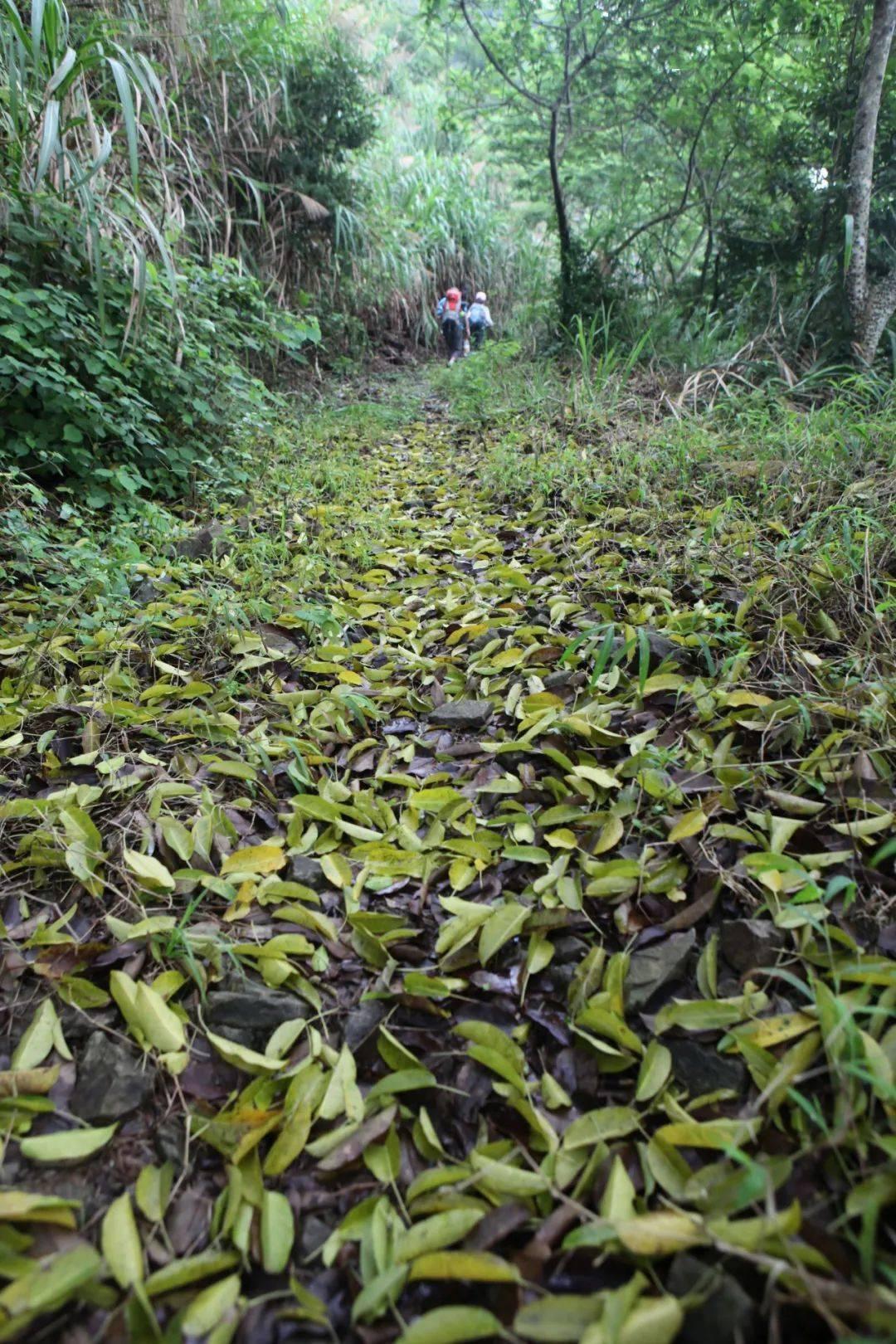 冬至休闲区蓝鸢梦想 - Www.slyday.coM 冬至休闲区蓝鸢梦想 - Www.slyday.coM