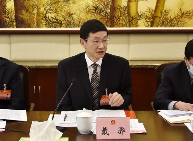 王岚,张伟,戴骅,张汪耀等区领导参加了相关代表团的审议.