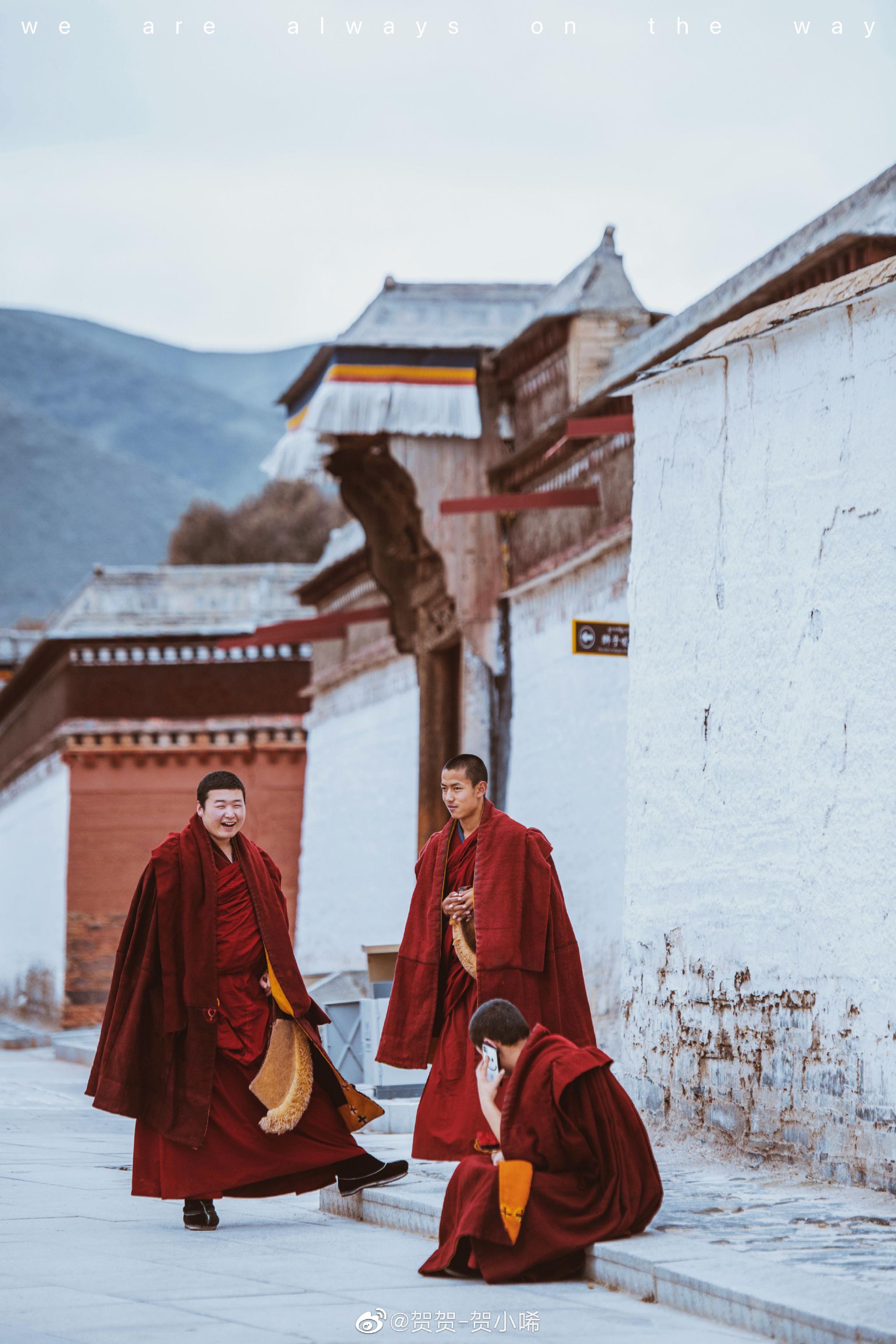 "凡尘不染的拉卜楞寺 僧者净也" 寺院本身是无形的……_高清图集_新浪