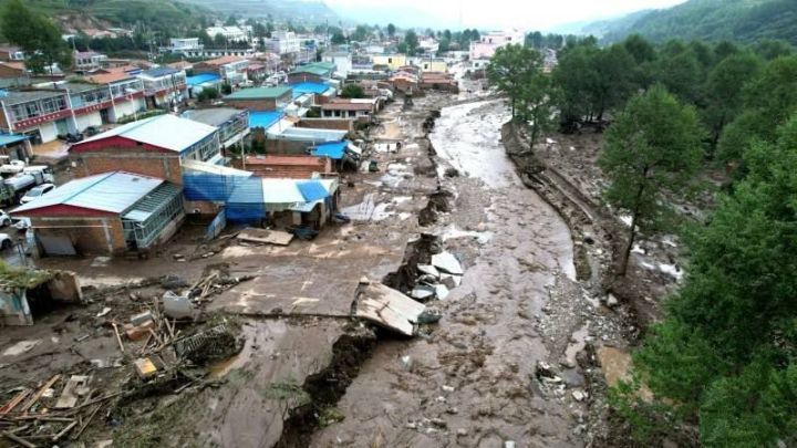 正在印度肆虐的3600亿只蝗虫，中国吃货能搞定吗？...