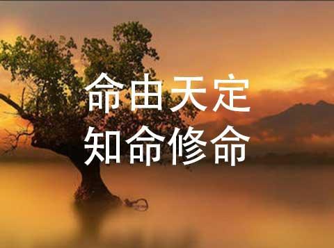 常说“命由天定”，为什么“命”，能知不能改，却能“修”？|先天|天命|修心_新浪新闻