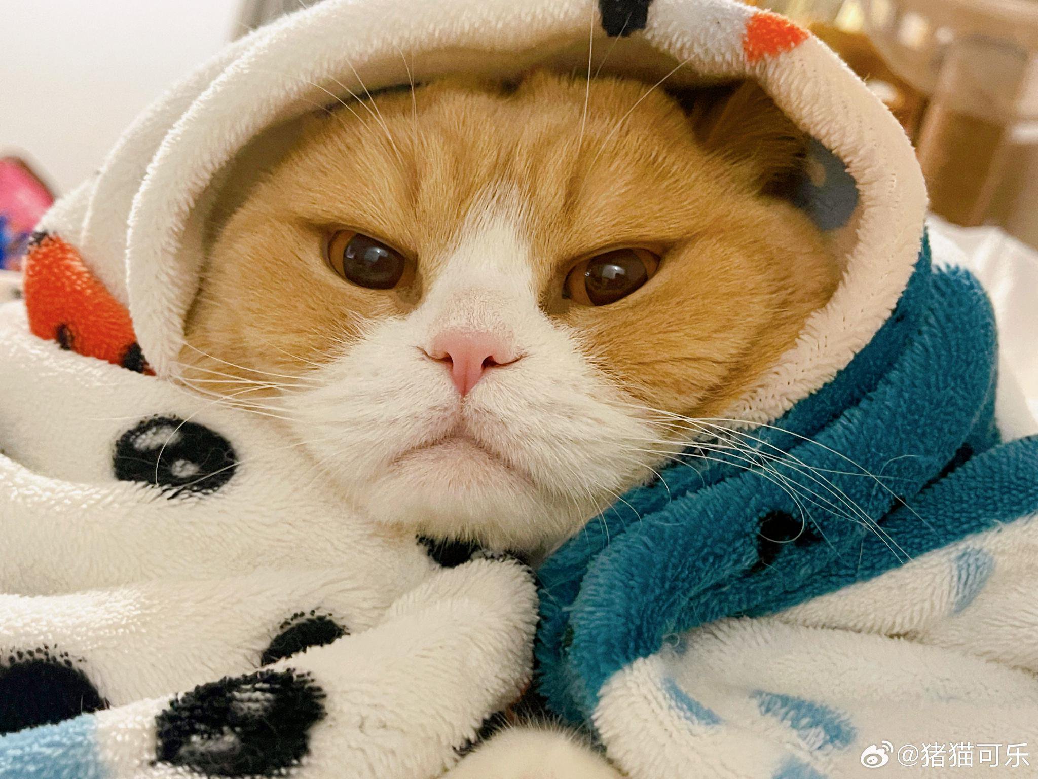 哎呦呦谁家小宝宝这么可爱～ 让麻麻啵唧一口