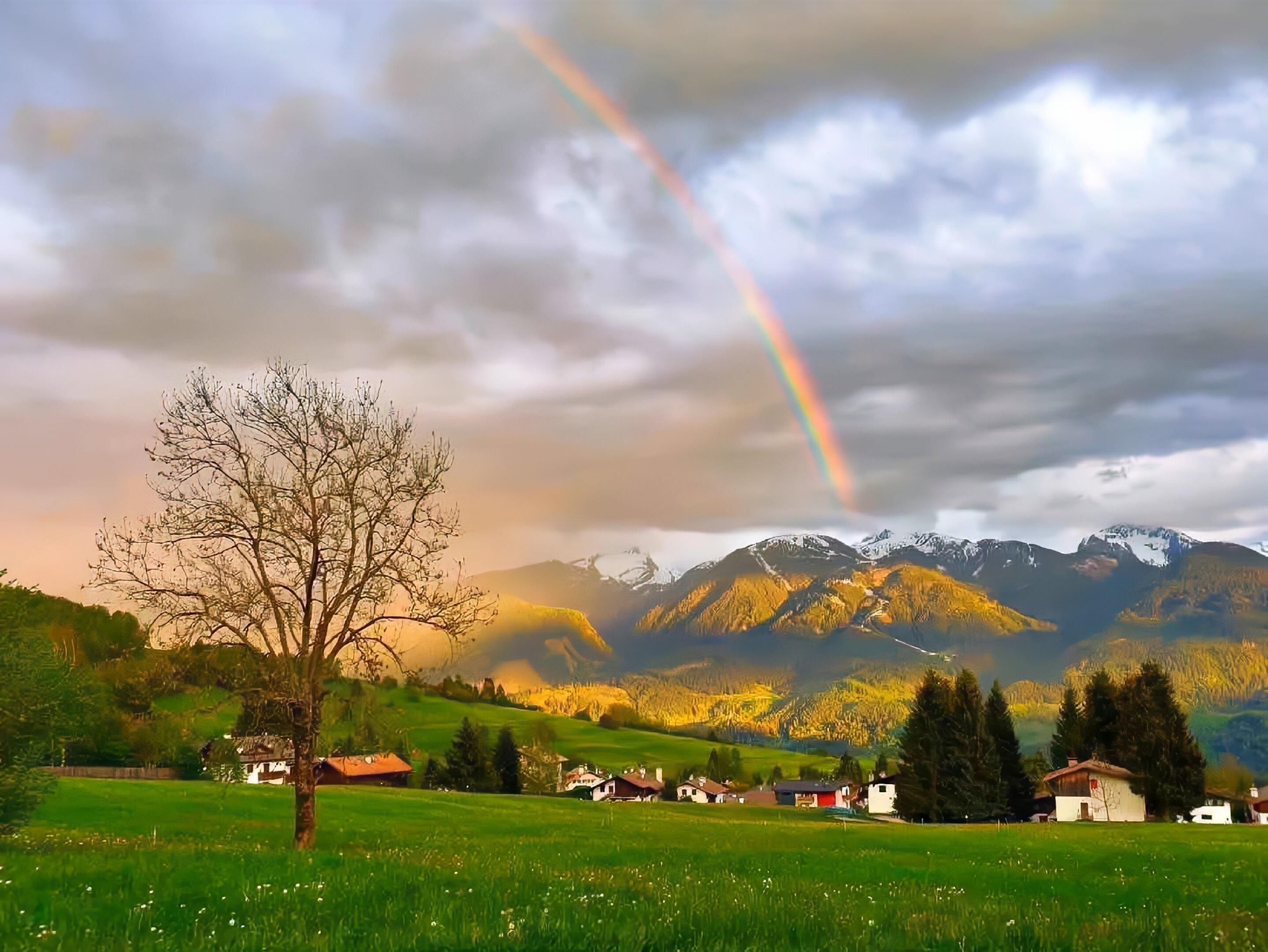 ipad电脑壁纸来啦!