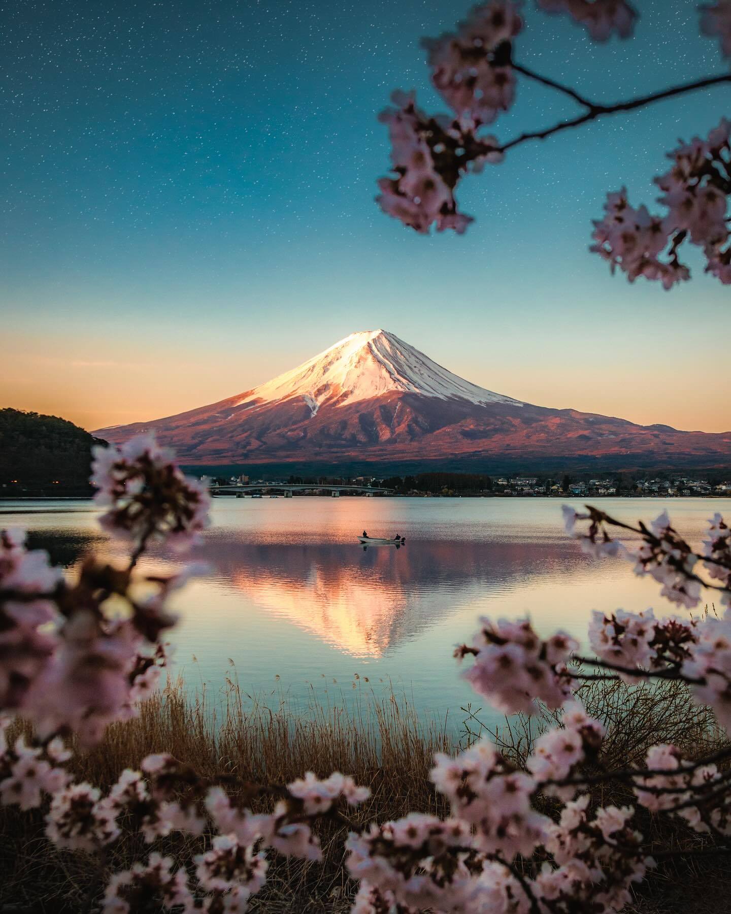 富士山下,樱花盛开的春天, 摄影丨ryan resatka