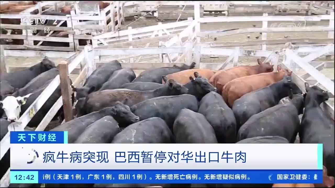 一国突现疯牛病病例暂停对华牛肉出口