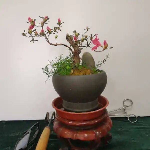 这里来了一群“绿聚人”，他们用兴趣“解锁”低碳生活休闲区蓝鸢梦想 - Www.slyday.coM