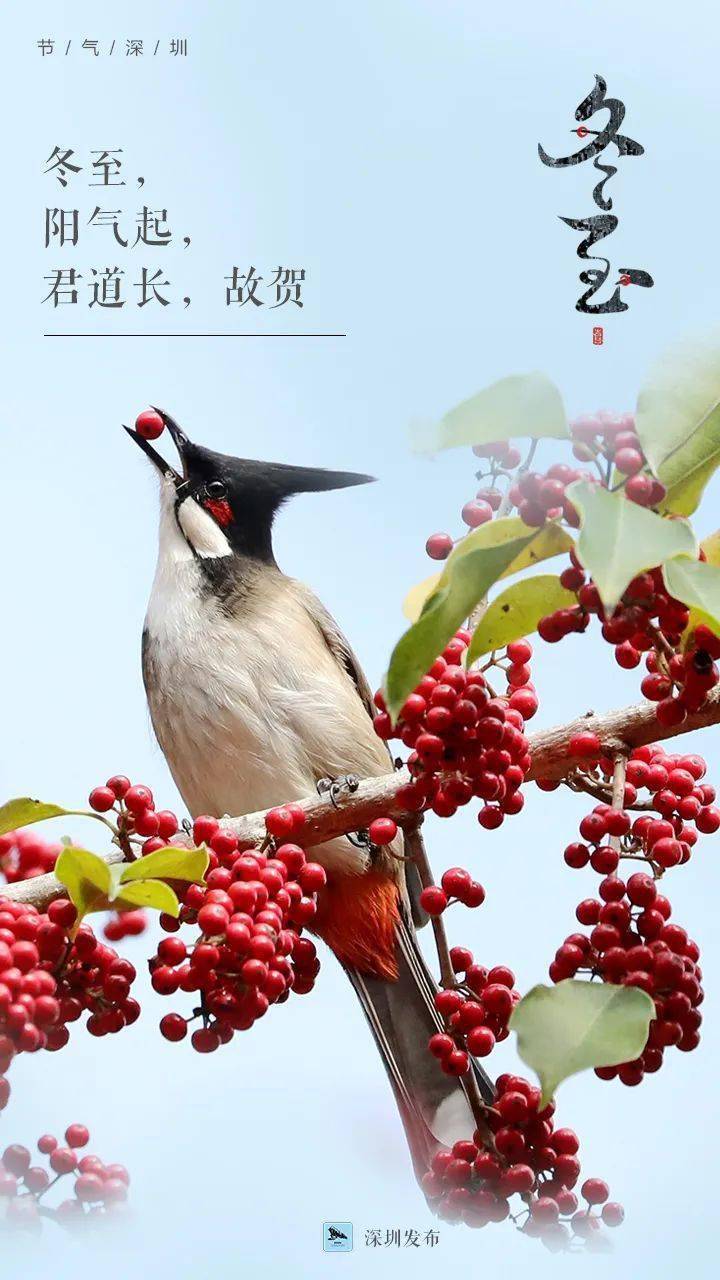 冬至休闲区蓝鸢梦想 - Www.slyday.coM 冬至休闲区蓝鸢梦想 - Www.slyday.coM