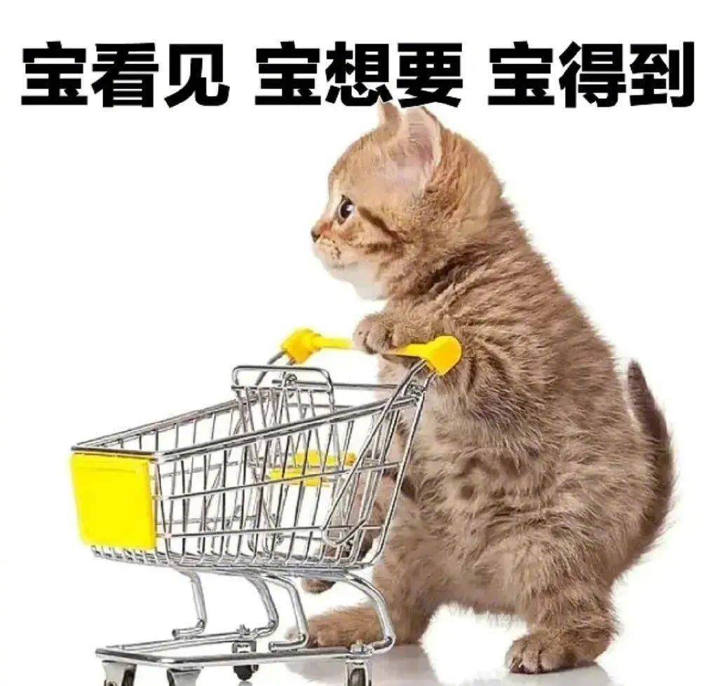 表情包 | 宝看见 宝想要 宝得到 拿图点赞,吱声
