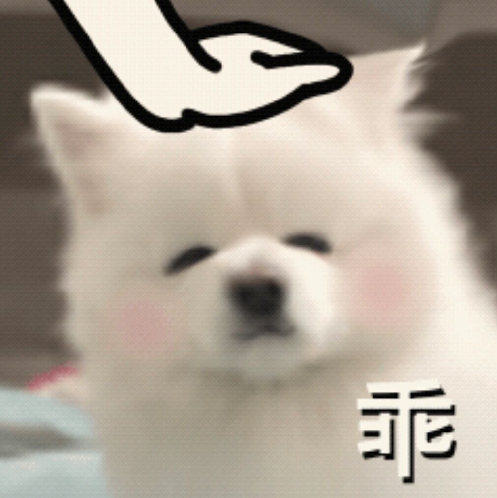 小狗表情包__财经头条