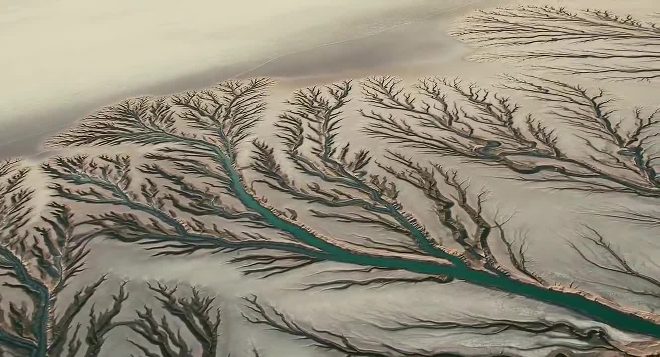 地理视角 | 什么是潮沟?潮汐树!解读湖泊的九种类型!高考地理常考的12个岛屿(含试题)|潮汐树|潮水|高考