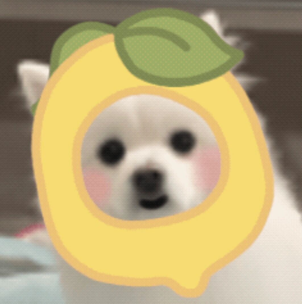 小狗表情包__财经头条