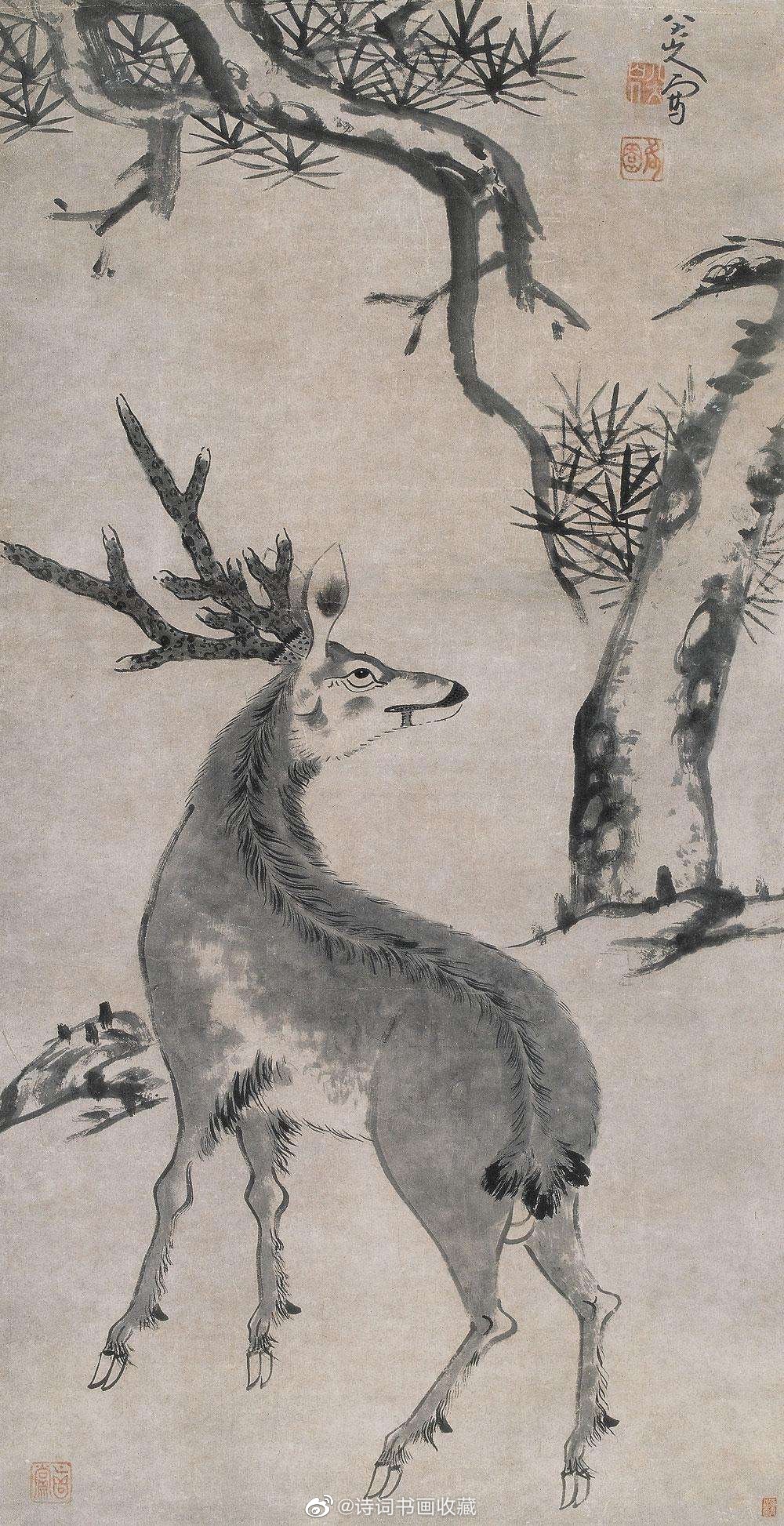 八大山人 松鹿图欣赏_高清图集_新浪网