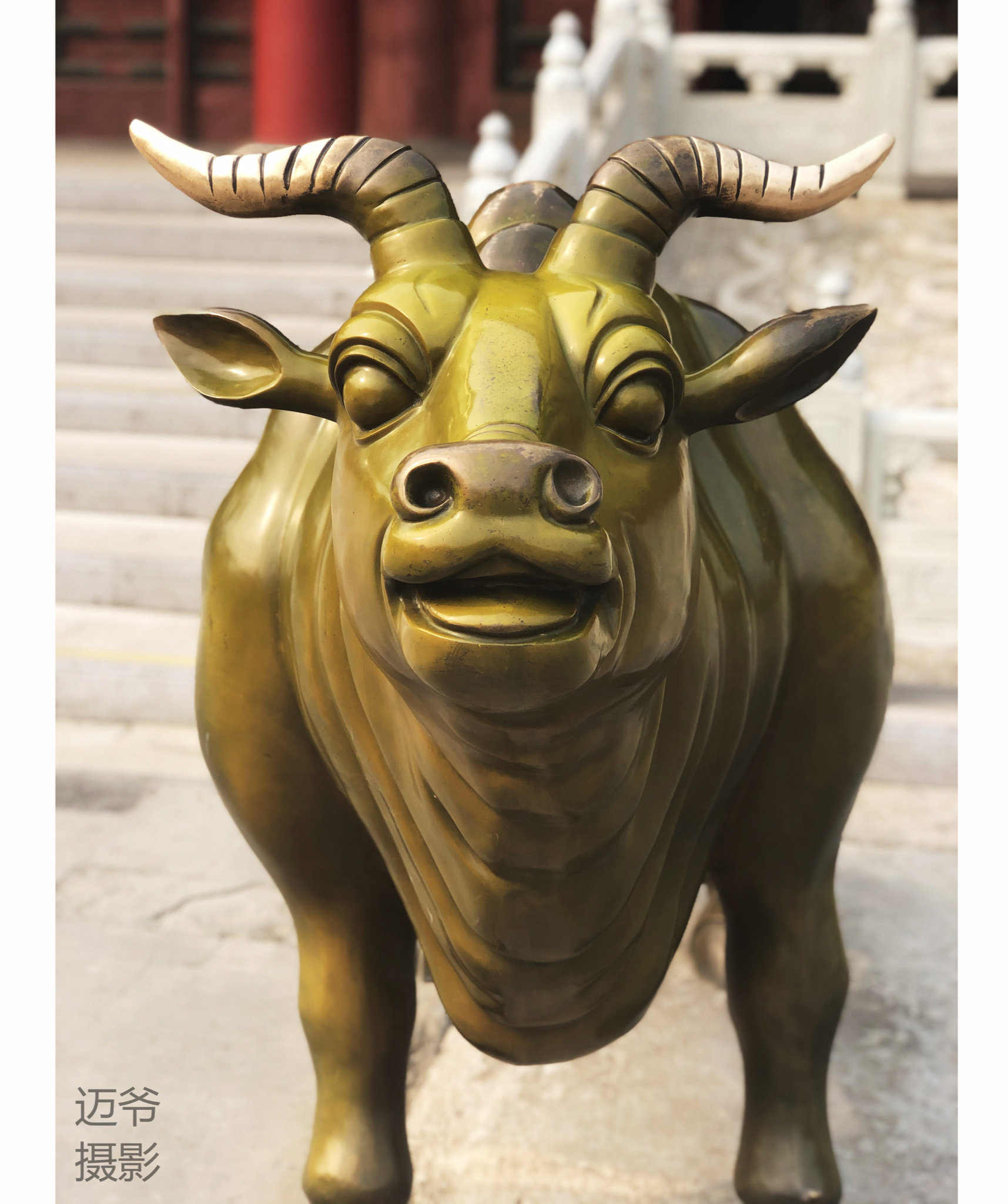故宫五牛雕塑拍摄时间2021年4月9日拍摄地点故宫博物院