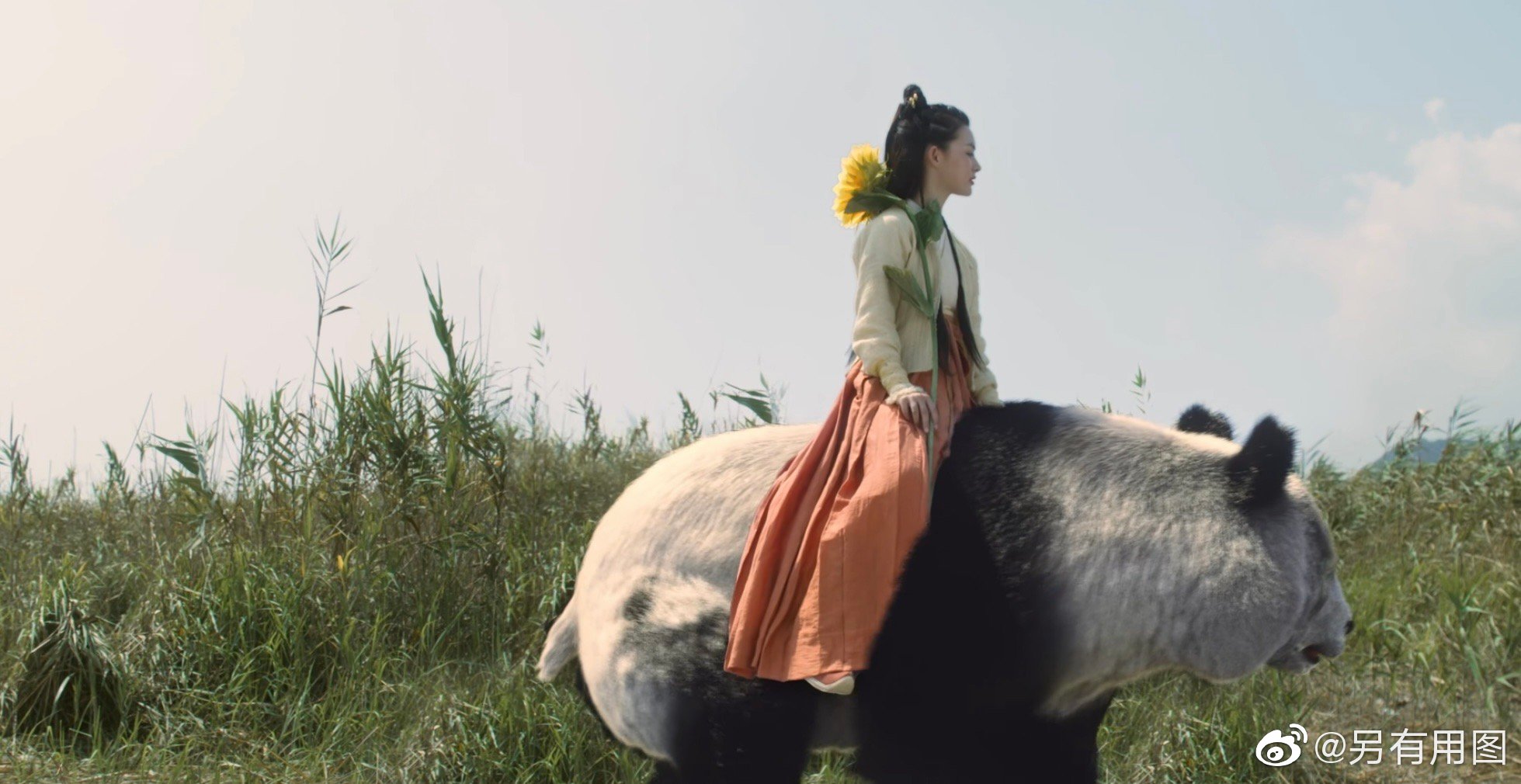 她来了,骑着熊猫,手拿向日葵,来找徐凤年了……__财经头条