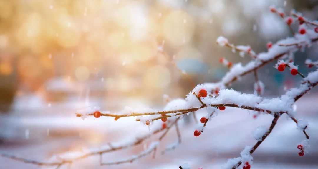 雪后的中国，到底有多美？休闲区蓝鸢梦想 - Www.slyday.coM