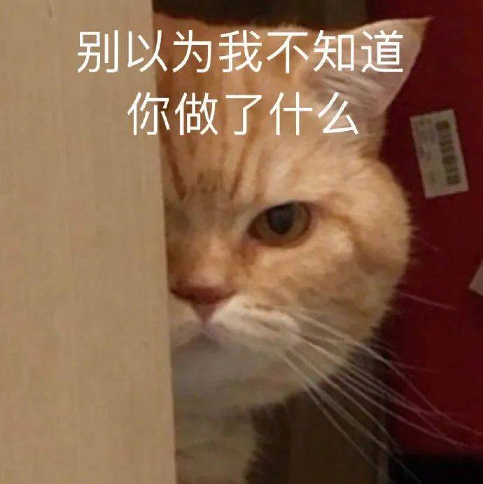 表情包 | 自首吧 我都看见了 拿图点赞,吱声_高清图集_新浪网