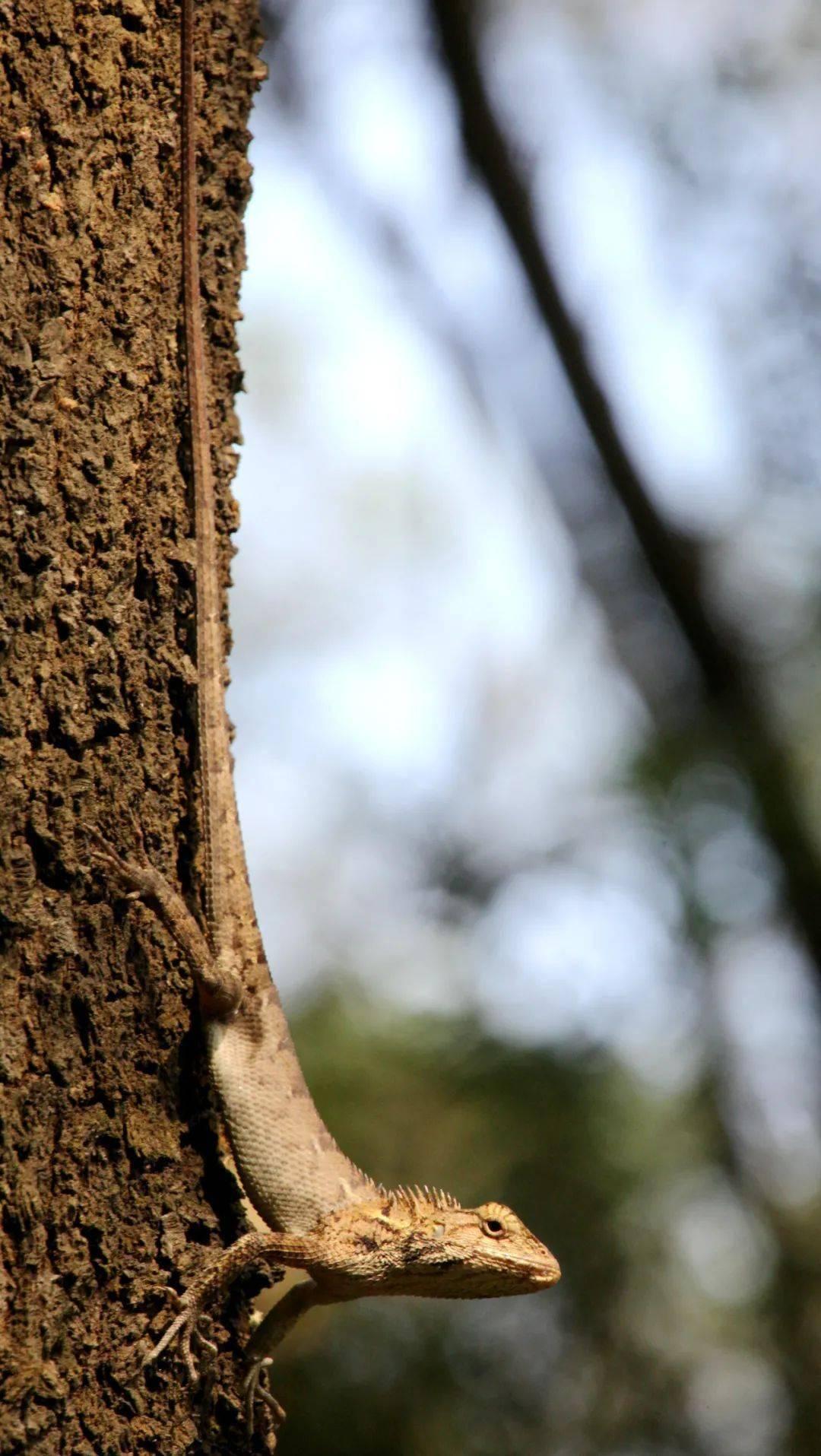 冬至休闲区蓝鸢梦想 - Www.slyday.coM 冬至休闲区蓝鸢梦想 - Www.slyday.coM