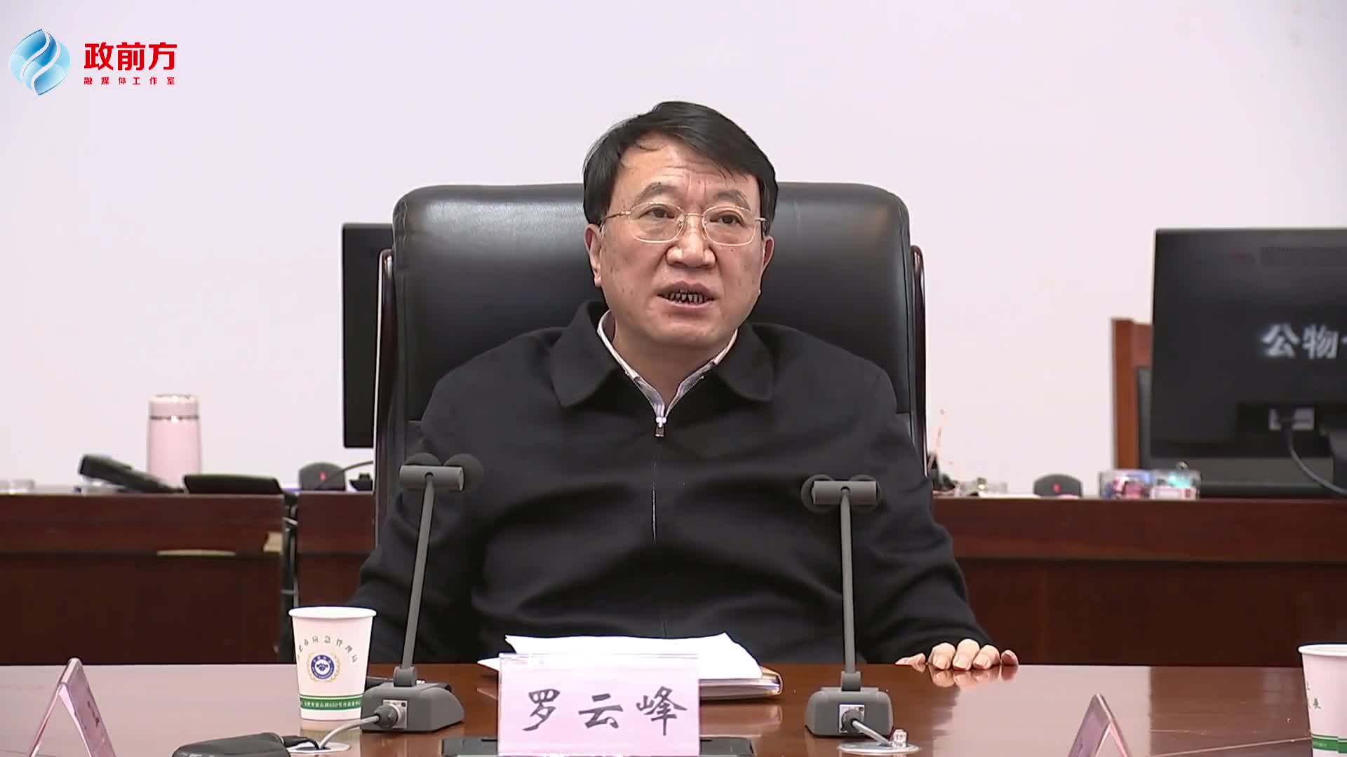 罗云峰部署冰雪灾害天气应对防御工作