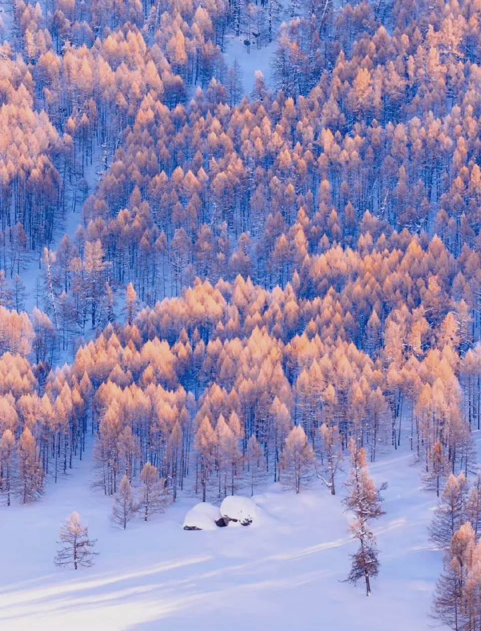 这个冬天,新疆禾木村的雪景等着您_高清图集_新浪网