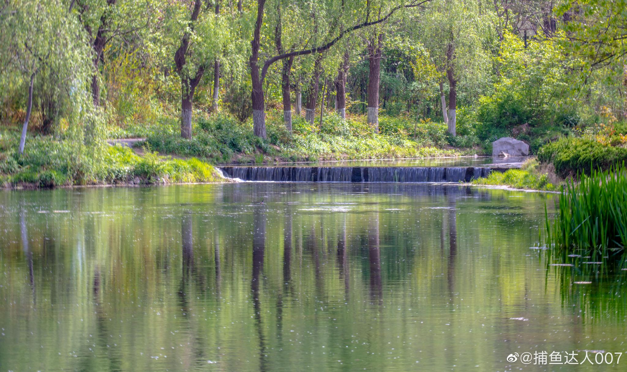 章丘眼明泉公园