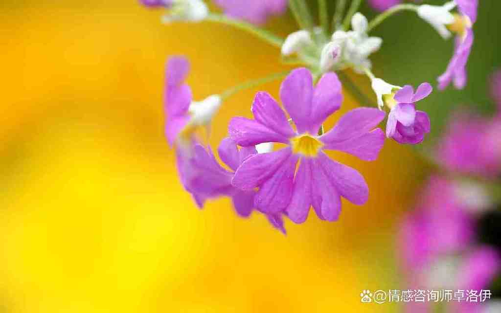 婚姻的真相,有钱有情才能走得长远,你对人性了解有多少休闲区蓝鸢梦想 - Www.slyday.coM 婚姻的真相,有钱有情才能走得长远,你对人性了解有多少休闲区蓝鸢梦想 - Www.slyday.coM