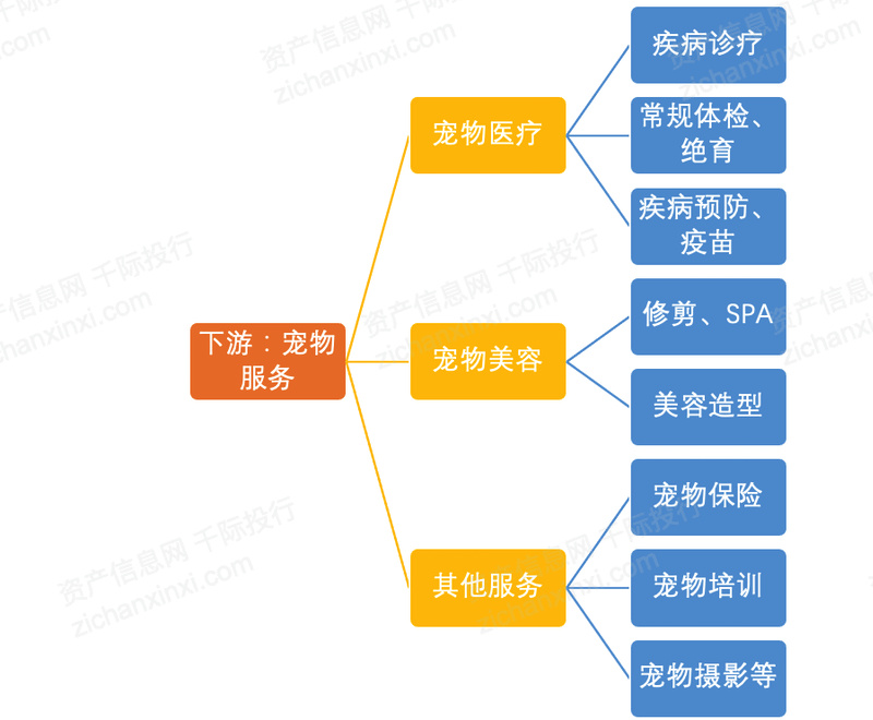 湖北专业宠物行业网站建设的简单介绍