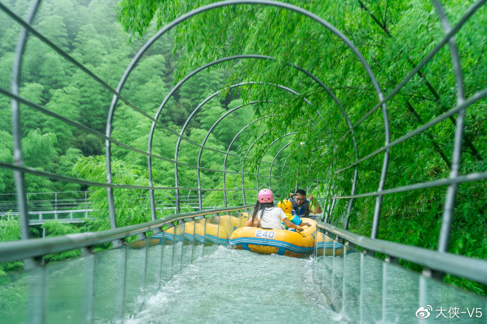 暑假怎么玩?来安吉星潮营地领略竹尖上的漂流,距杭州约2小时