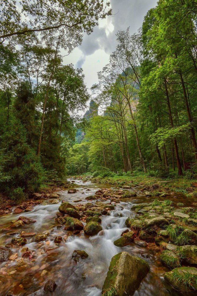 金鞭溪风景区是张家界的黄金旅游区