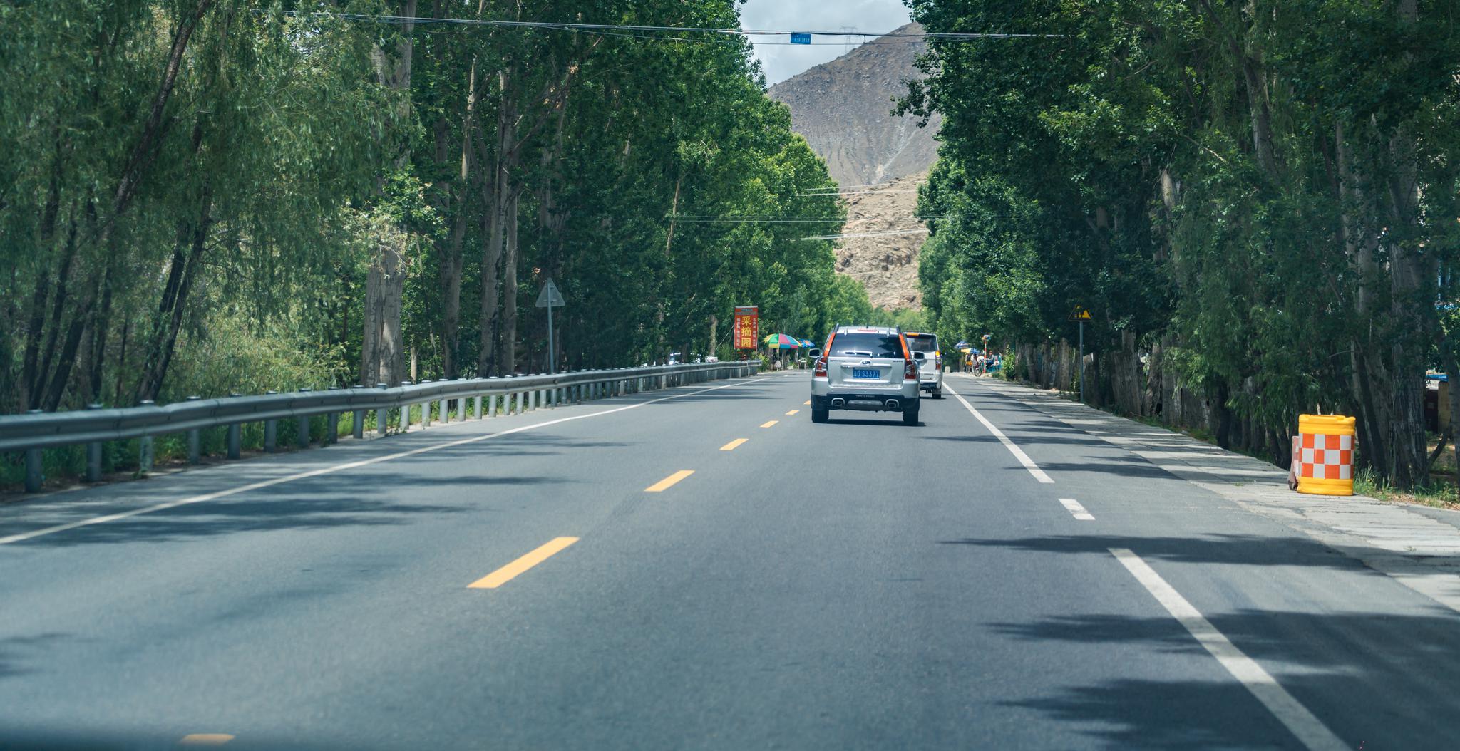 在路上,拉萨到日喀则,端午节,路上吃了粽子_高清图集_新浪网