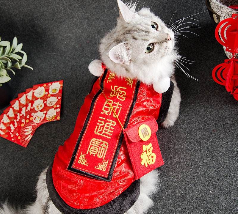 3个“熊孩子”来家里拜年,把猫咪吓到“尿失禁”休闲区蓝鸢梦想 - Www.slyday.coM 3个“熊孩子”来家里拜年,把猫咪吓到“尿失禁”休闲区蓝鸢梦想 - Www.slyday.coM